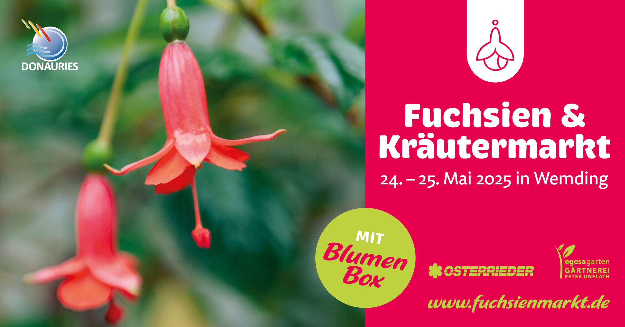 Fuchsienmarkt 2025